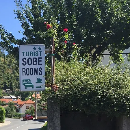Tourist Sajovic