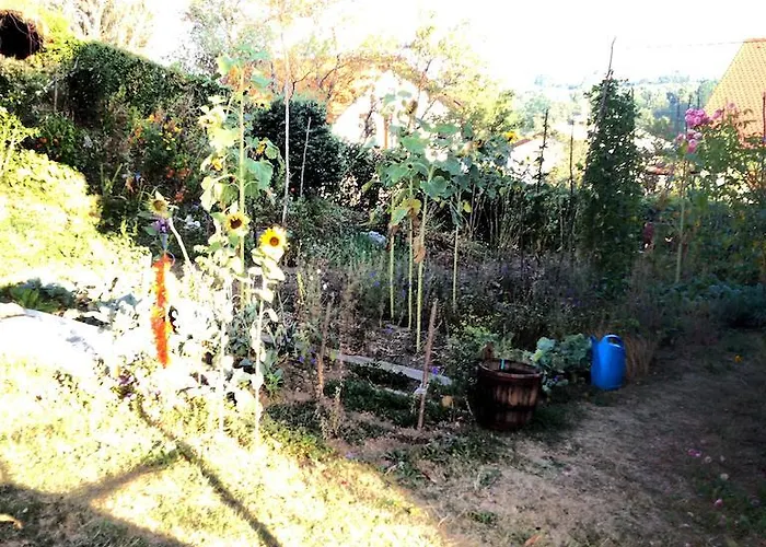 Tourist Sajovic Guest house 2*